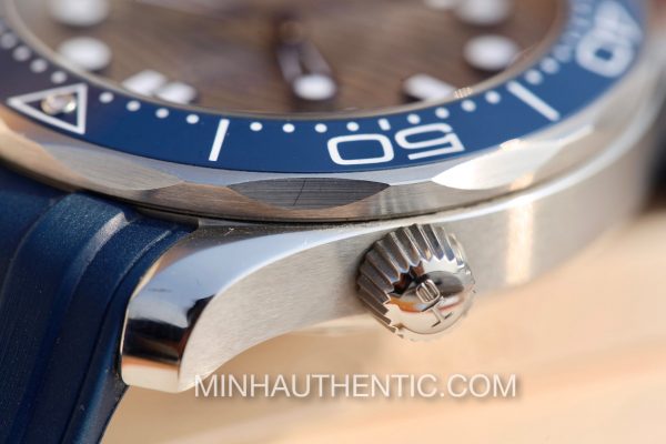 Omega Seamaster Diver 300m Co-Axial Master Chronometer 210.32.42.20.06.001