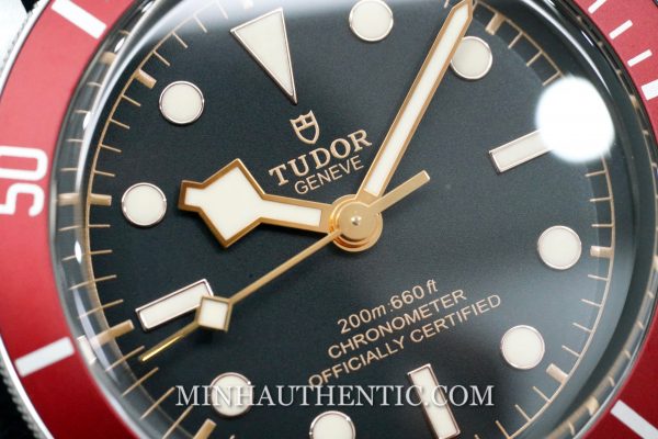 Tudor Heritage Black Bay Red M79230R-0011