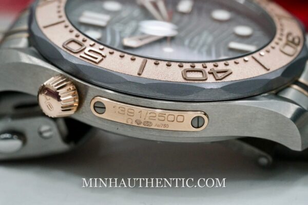 Omega Seamaster Diver 300M Titanium/Tantalum/Sedna Gold 210.60.42.20.99.001 - Hình ảnh 12