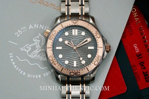 Omega Seamaster Diver 300M Titanium/Tantalum/Sedna Gold 210.60.42.20.99.001